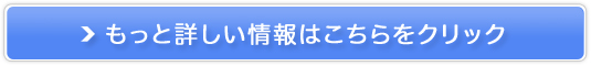 eJ IC[ XLPA v`v ̔TCg